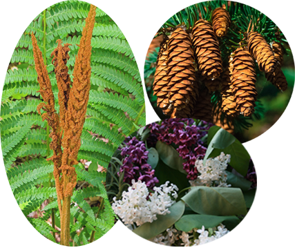 More About Jadomm Jadomm Soy Candles are deliciously scented, hand made and hand poured. They will fill your room and entice your senses. We have a wide array of fragrances, from kitchen/food scents, fresh clean scents, holiday scents, floral scents, calming, healing and relaxing scents, or our fun happy hours scents. Jadomm Candles make the perfect gift for friends or family or for your own personal indulgence.